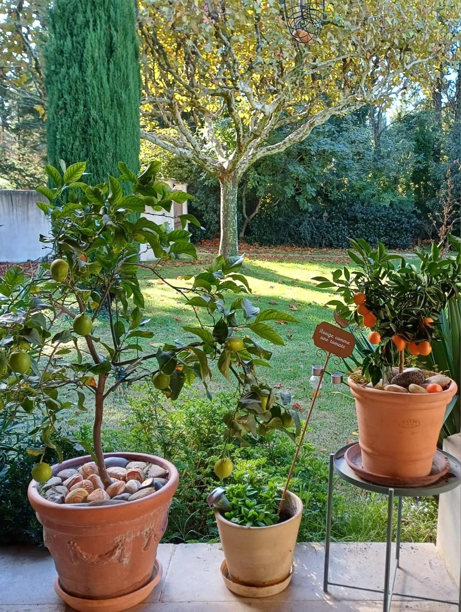 La Goutadou Bed & Breakfast Cabannes Luaran gambar
